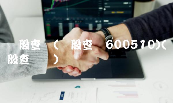 个股查询(个股查询600510)(个股查询网)