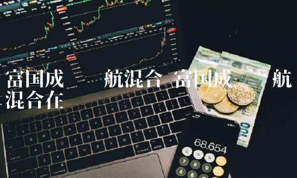 富国成长领航混合 富国成长领航混合在赔