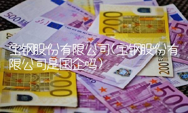 宝钢股份有限公司(宝钢股份有限公司是国企吗)