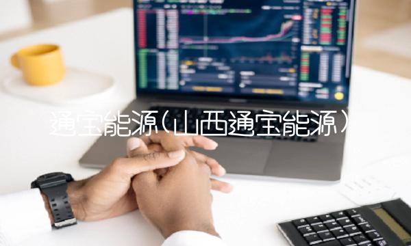 通宝能源(山西通宝能源)