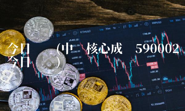 今日净值(中邮核心成长590002今日净值)