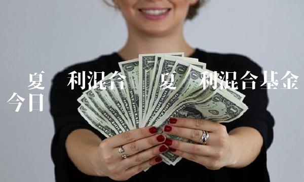 华夏红利混合 华夏红利混合基金今日净值