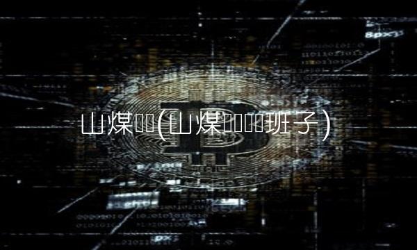 山煤国际(山煤国际领导班子)