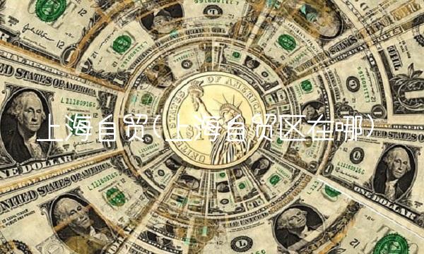 上海自贸(上海自贸区在哪) 上海自贸(上海自贸区在哪)