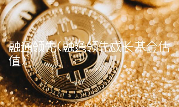 融通领先(融通领先成长基金估值)