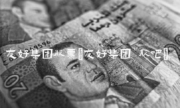 友好集团股票(友好集团 股吧)