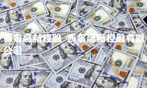 西安高新控股 西安高新控股有限公司
