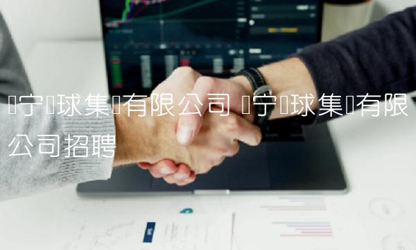 苏宁环球集团有限公司 苏宁环球集团有限公司招聘