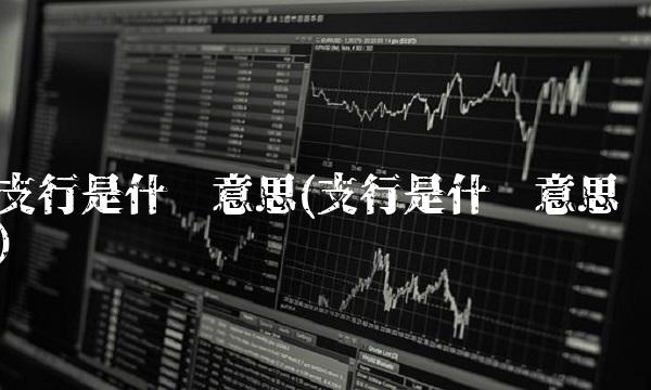 支行是什么意思(支行是什么意思)