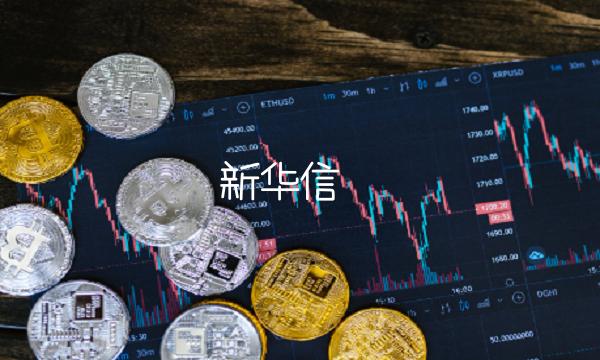新华信