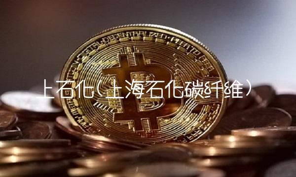 上石化(上海石化碳纤维)