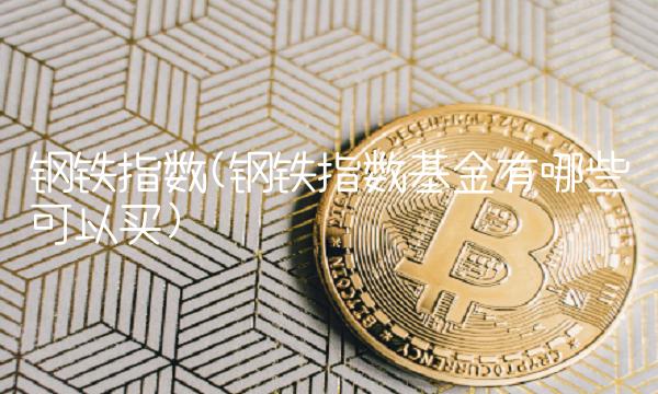 钢铁指数(钢铁指数基金有哪些可以买)