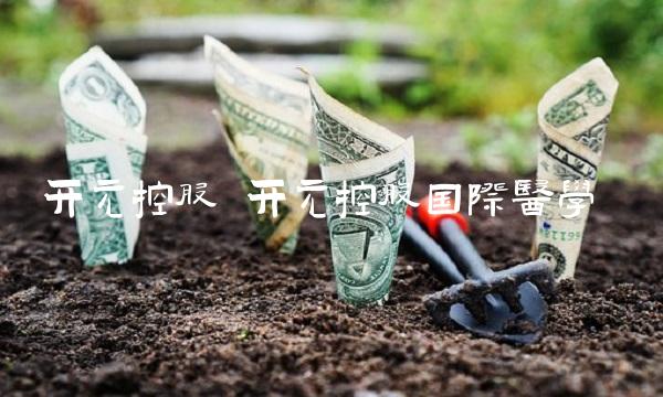 开元控股 开元控股国际医学