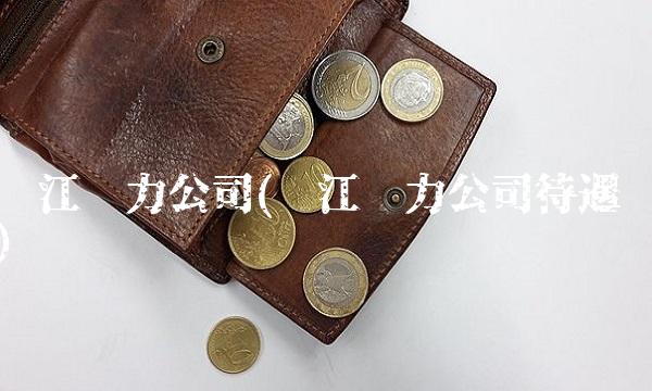 长江电力公司(长江电力公司待遇)