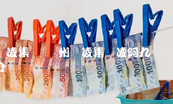 东凌集团 苏州东凌集团凌阿九简介