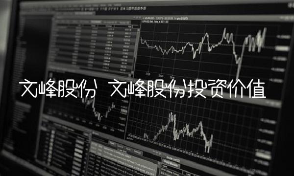 文峰股份 文峰股份投资价值