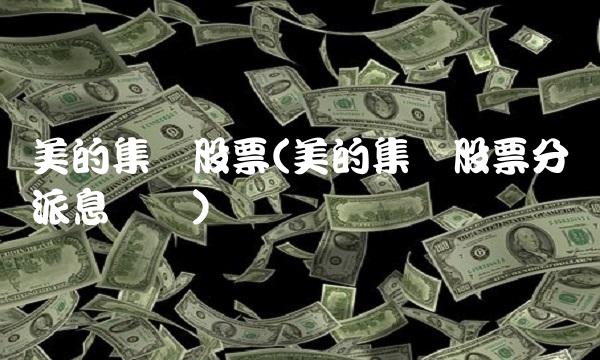 美的集团股票(美的集团股票分红派息记录)