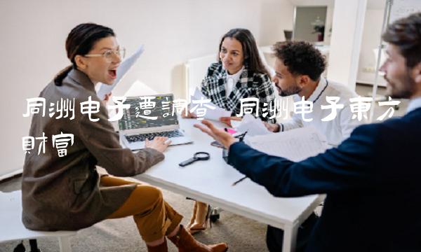 同洲电子遭调查 同洲电子东方财富