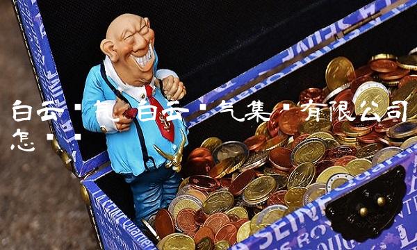 白云电气 白云电气集团有限公司怎么样