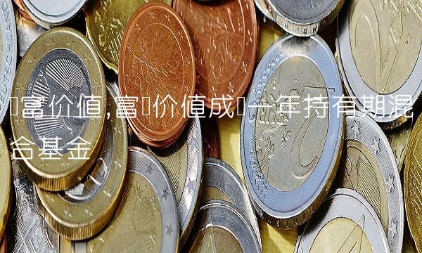 国富价值,富国价值成长一年持有期混合基金