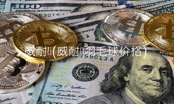 威耐尔(威耐尔羽毛球价格)