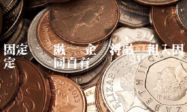 固定资产融资 企业将融资租入固定资产视同自有