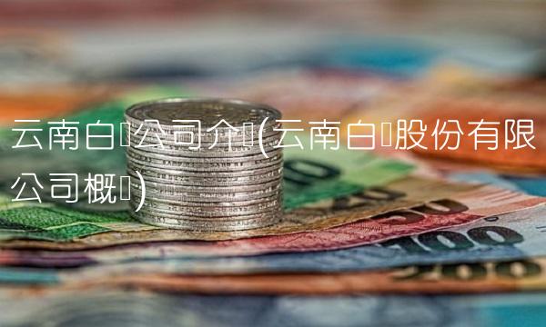 云南白药公司介绍(云南白药股份有限公司概况)