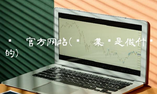 实达官方网站(实达集团是做什么的)