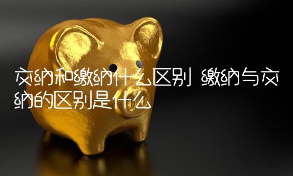 交纳和缴纳什么区别 缴纳与交纳的区别是什么