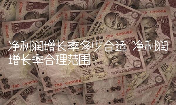 净利润增长率多少合适 净利润增长率合理范围