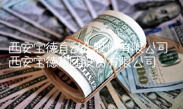 西安宝德自动化股份有限公司 西安宝德集团股份有限公司