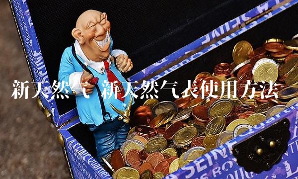 新天然气 新天然气表使用方法