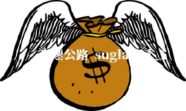 沪宁高速公路 suglabId_1