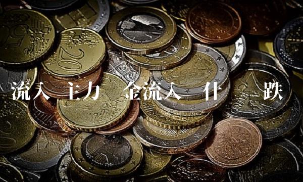 流入 主力资金流入为什么还跌