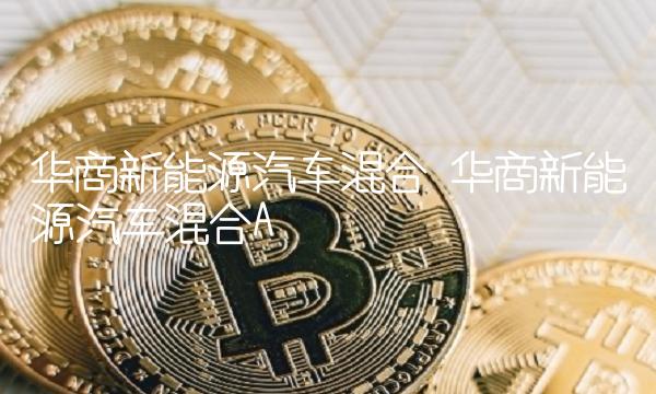 华商新能源汽车混合 华商新能源汽车混合A