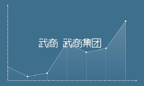 武商 武商集团
