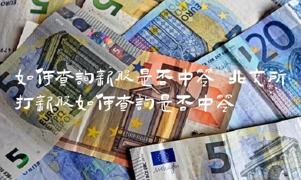 如何查询新股是否中签 北交所打新股如何查询是否中签