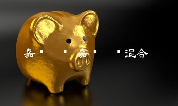 嘉实增长 嘉实增长混合