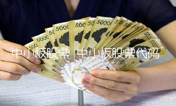 中小板股票 中小板股票代码
