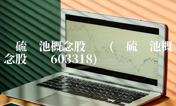 锂硫电池概念股龙头(锂硫电池概念股龙头603318)