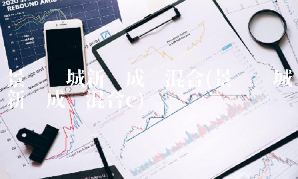 景顺长城新兴成长混合(景顺长城新兴成长混合c)