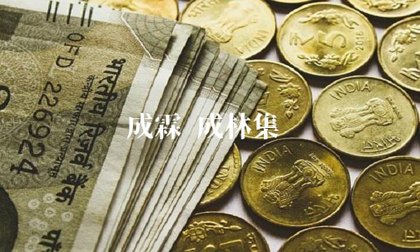 成霖 成林集团
