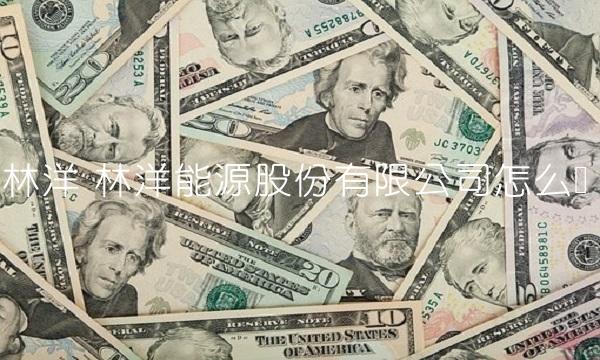 林洋 林洋能源股份有限公司怎么样 林洋 林洋能源股份有限公司怎么样