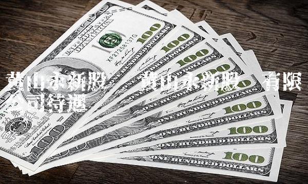 黄山永新股份 黄山永新股份有限公司待遇