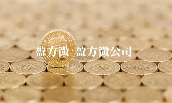 盈方微 盈方微公司