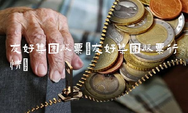 友好集团股票(友好集团股票行情) 友好集团股票(友好集团股票行情)