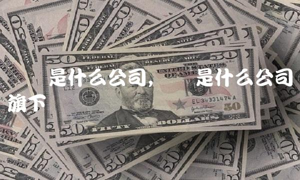 贝壳是什么公司,贝壳是什么公司旗下 贝壳是什么公司,贝壳是什么公司旗下