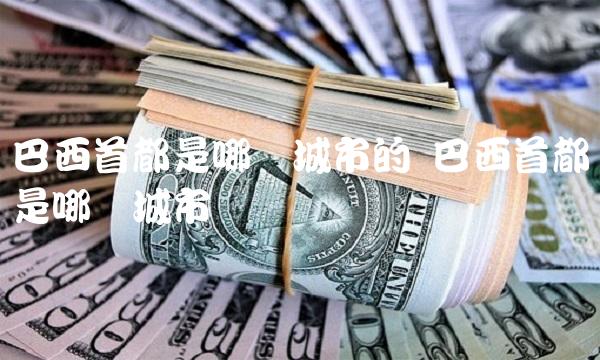 巴西首都是哪个城市的 巴西首都是哪个城市