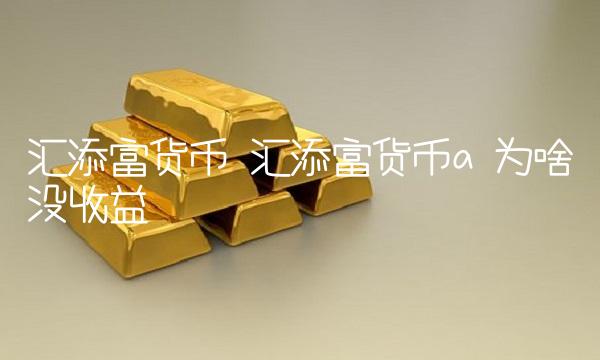 汇添富货币 汇添富货币a 为啥没收益