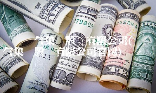 卧龙电气集团股份有限公司(卧龙电气集团股份有限公司官网)